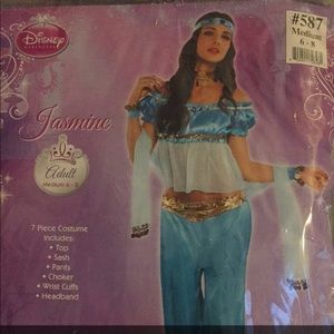 Princess Jasmine Adult Halloween Costume